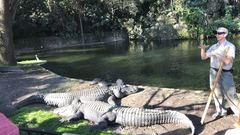 Crocodylia