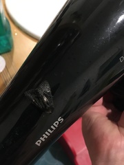 Melanodes anthracitaria