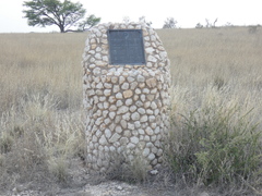 Enneapogon desvauxii