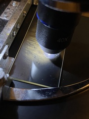 Cortinarius rubiginosus