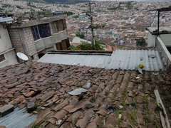 Kalanchoe densiflora