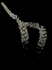 Drimia sanguinea