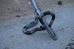 Burmese Krait photo 2