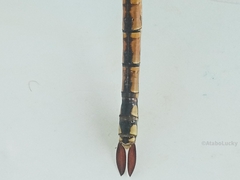 Anax ephippiger