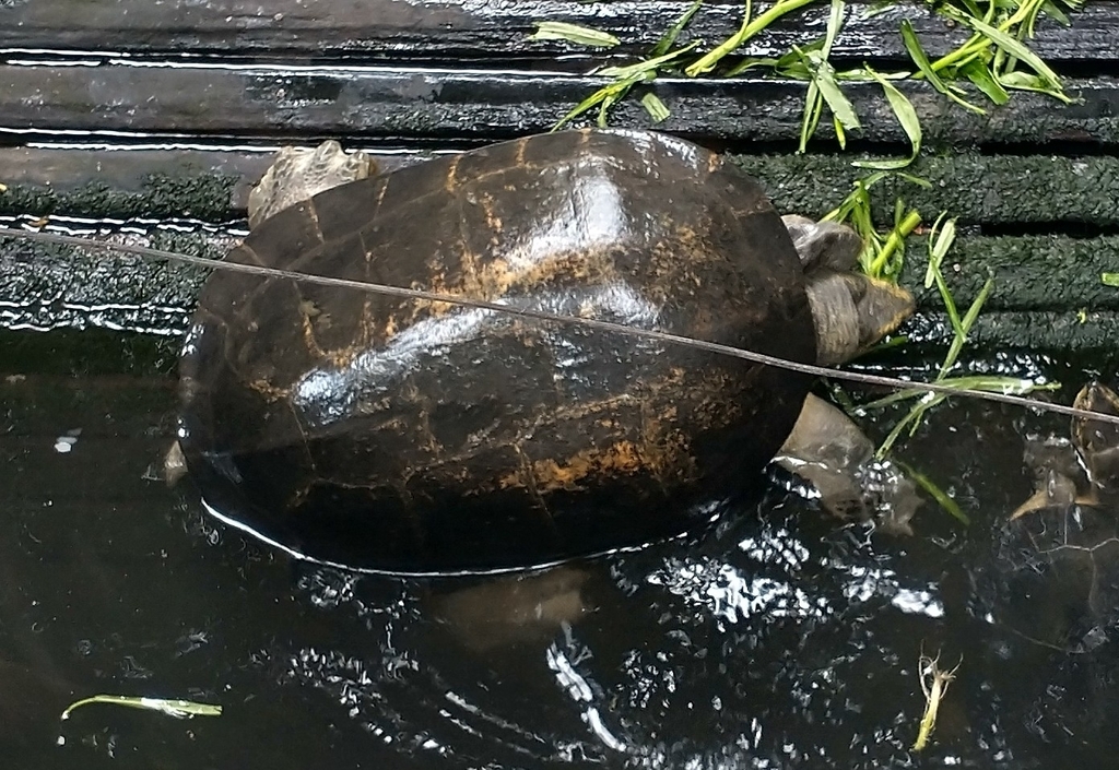 Photo by Gijs Romijn