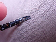 Rhionaeschna californica