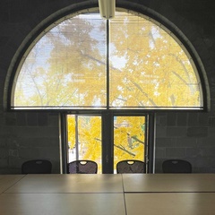 Ginkgo