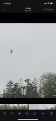Accipiter
