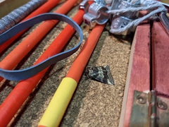 Ceranemota improvisa