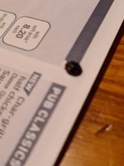 Exochomus quadripustulatus