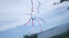 Trichonephila inaurata madagascariensis