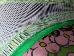 Diadophis punctatus punctatus