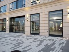 Zonotrichia albicollis