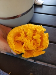 Pouteria lucuma