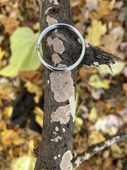 Peniophora incarnata