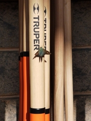 Urbanus proteus proteus