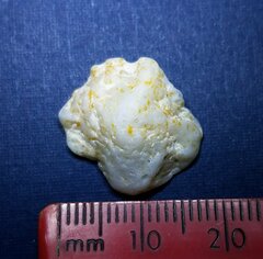 Plicatula gibbosa