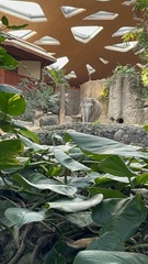 Elephantidae