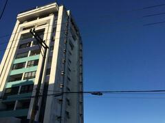 Caracara plancus plancus