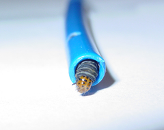 Psychomorpha epimenis