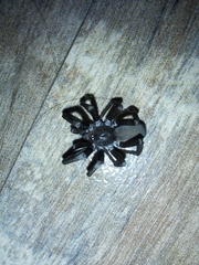 Kukulcania hibernalis