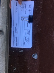 Zonotrichia albicollis