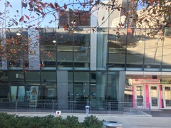 Zonotrichia albicollis