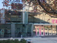 Zonotrichia albicollis