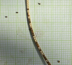 Sisymbrium altissimum