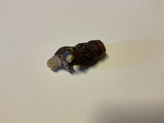 Pyrazus ebeninus