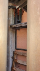 Onychognathus morio morio