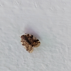 Aprivesa