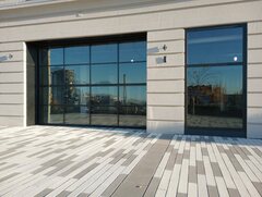 Zonotrichia albicollis