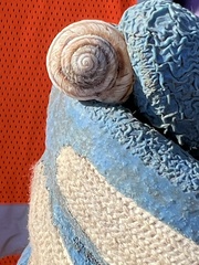 Oreohelix