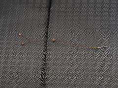 Utricularia subulata