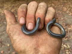 Afrotyphlops mucruso