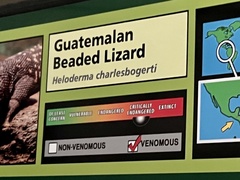 Heloderma charlesbogerti