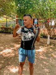 Drymarchon melanurus melanurus