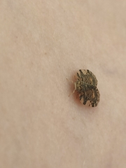Aprivesa