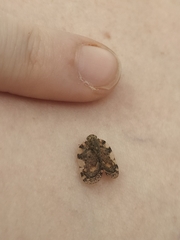 Aprivesa