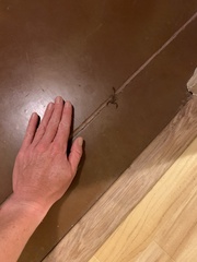 Stahnkeus deserticola