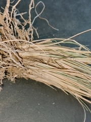 Eragrostis chloromelas