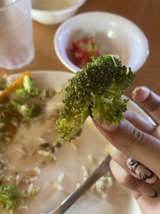 Brassica oleracea italica