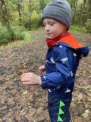 Lepiota flammeotincta