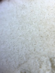 Rhizopogonaceae