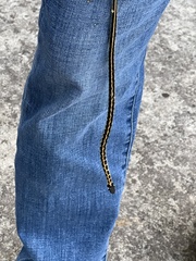 Thamnophis cyrtopsis