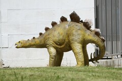 Stegosaurus