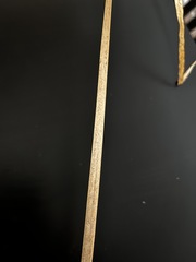 Typha latifolia