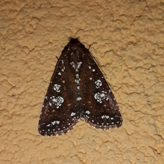 Condica