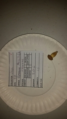 Aureoboletus roxanae